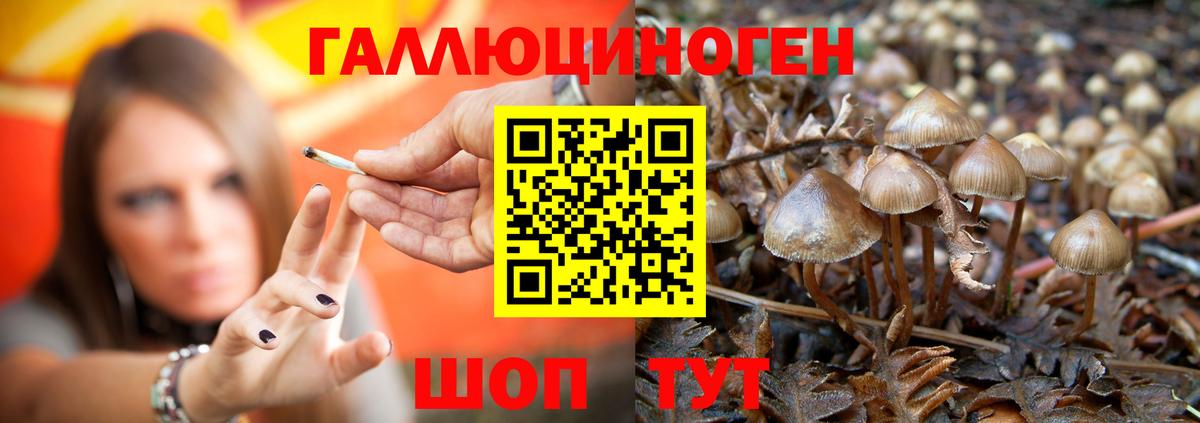 Галлюциногенные грибы мухоморы  закладки  Шарыпово  Вход с VPN  Галлюциногенные грибы Psilocybe 